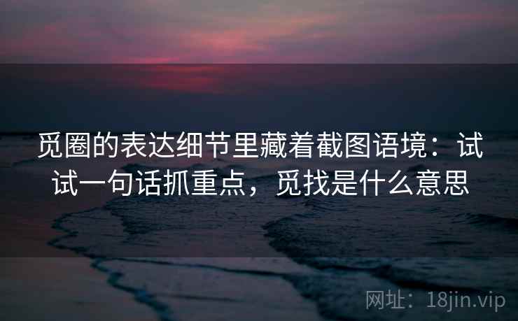 觅圈的表达细节里藏着截图语境：试试一句话抓重点，觅找是什么意思