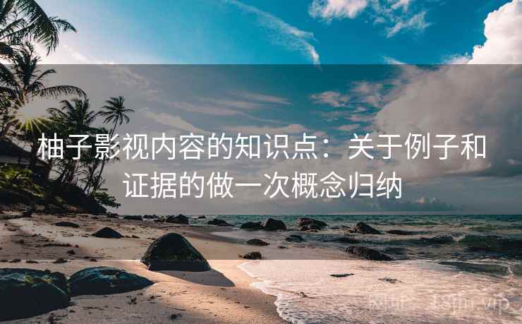 柚子影视内容的知识点：关于例子和证据的做一次概念归纳